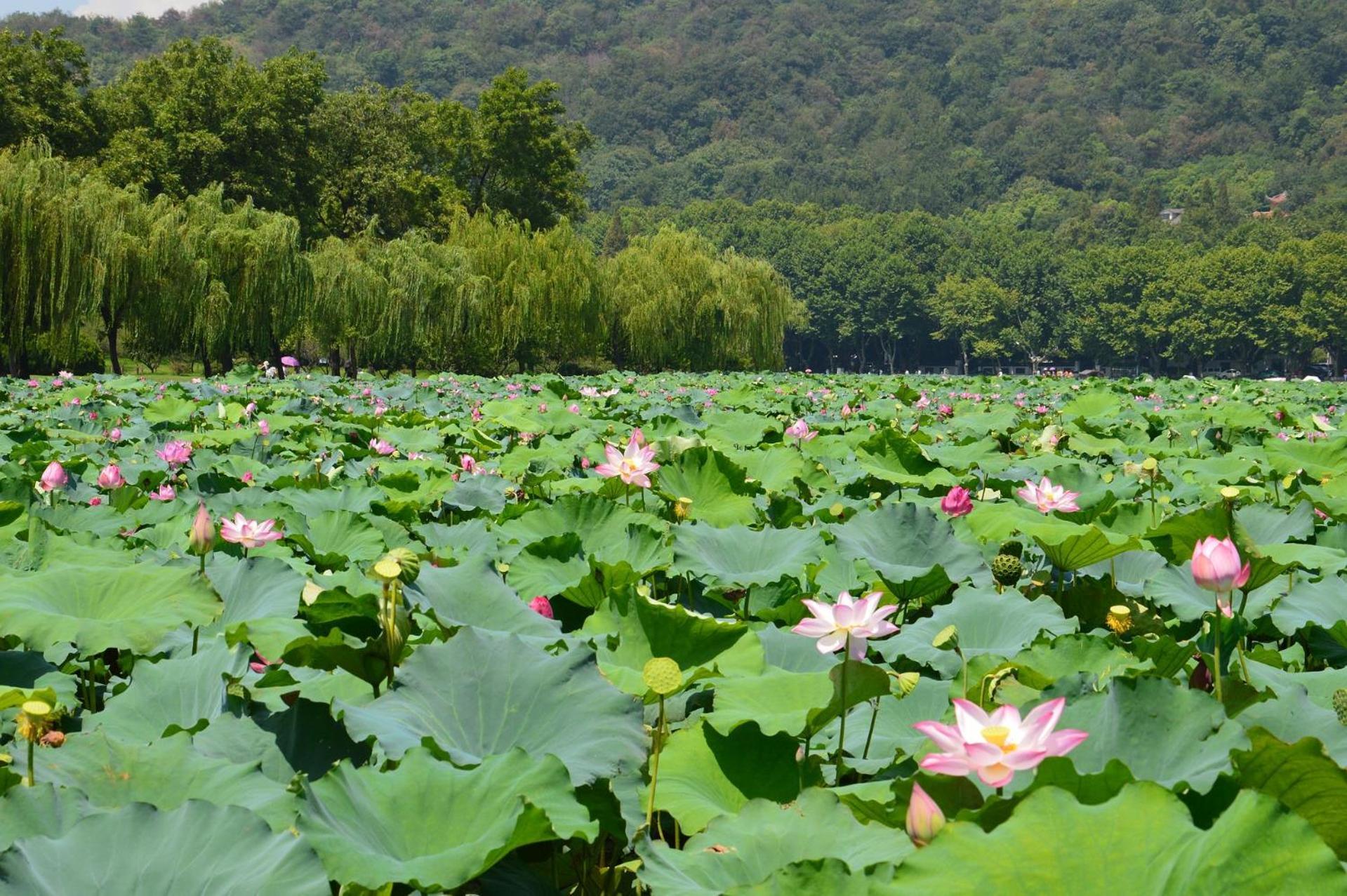 Nost Algia S Hotel In The West Lake Scenic Area-,Lingyin Temple, Leifeng Tower, Children'S Playground, Free Night Snack, Free Laundry, English Communication Well, Free Travel Advice Chang-čou Exteriér fotografie